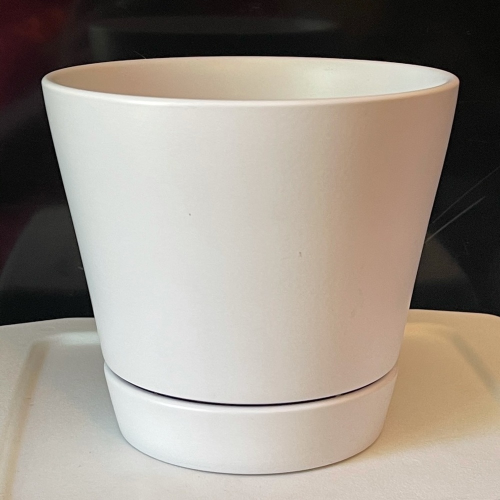 6 in planter